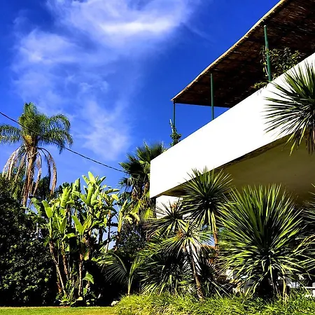 Silvia 30mt From The Sea View *